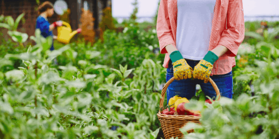 Agriculture Producers - modern slavery